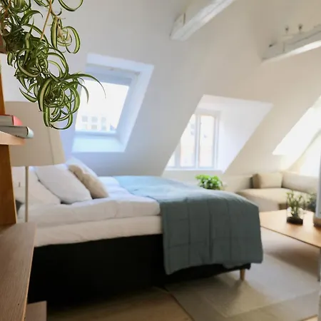 Two-story By Nyhavn Harbour Apartament *